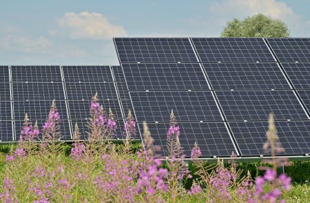 Mix energético plantas solares fotovoltaicas