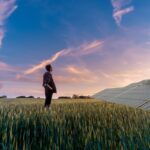 planta fotovoltaica - La tendencia es la hibridación